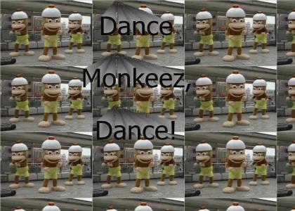 Monkey Dance!