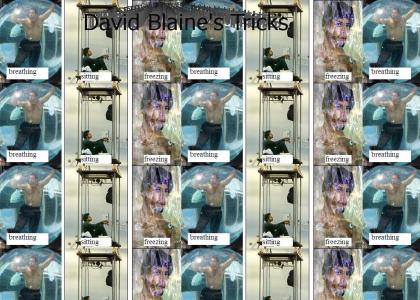 David Blaine sucks
