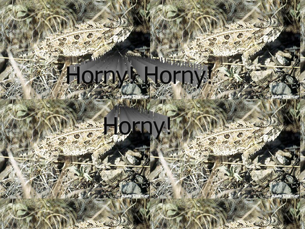 hornynhornyhorny