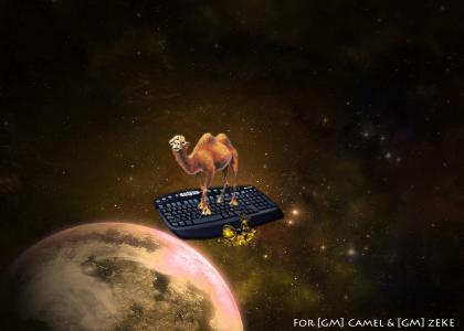 Camel and a Miniscule in Space