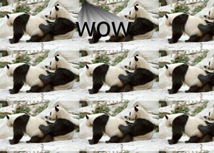 Panda buttsecks