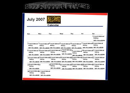 Blizzard Support