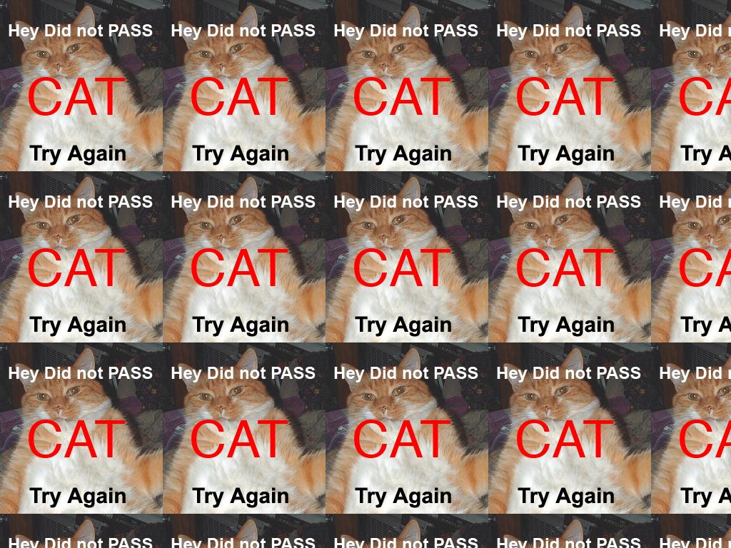 heydidnotpasscat