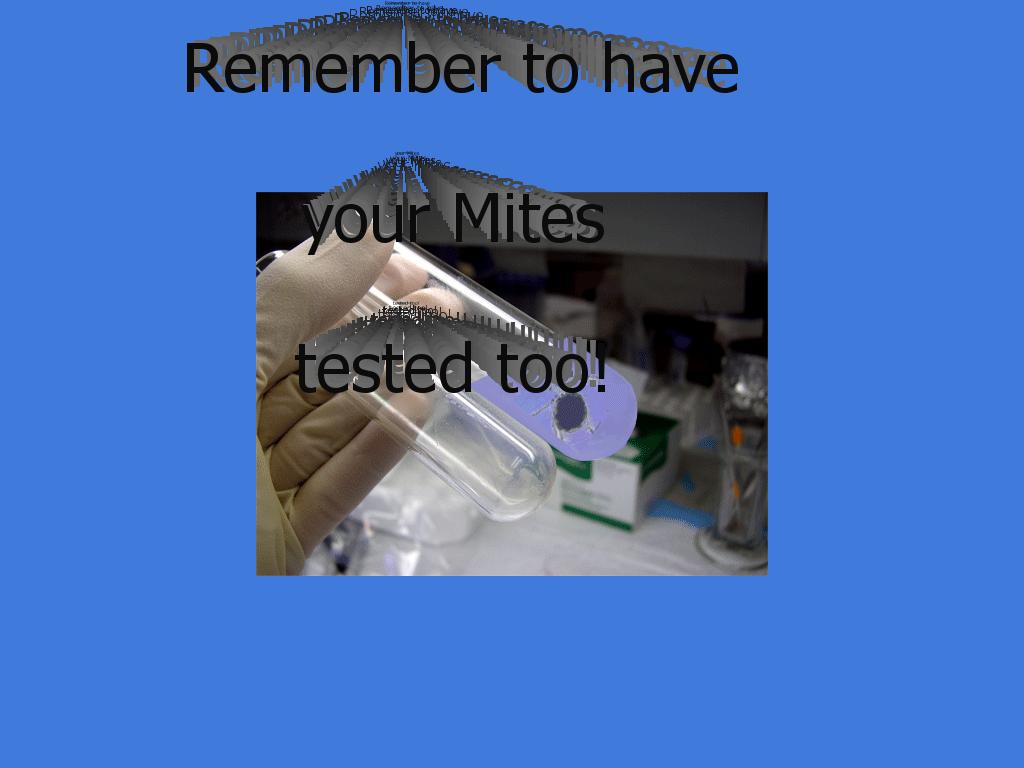 TestingYourMite