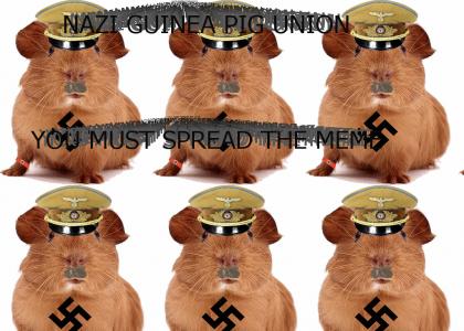 Nazi Guinea Pig Union!