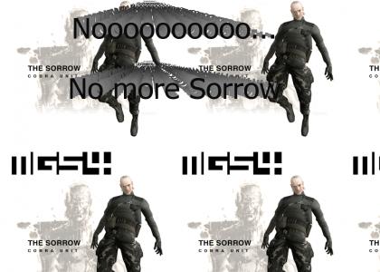 No More Sorrow