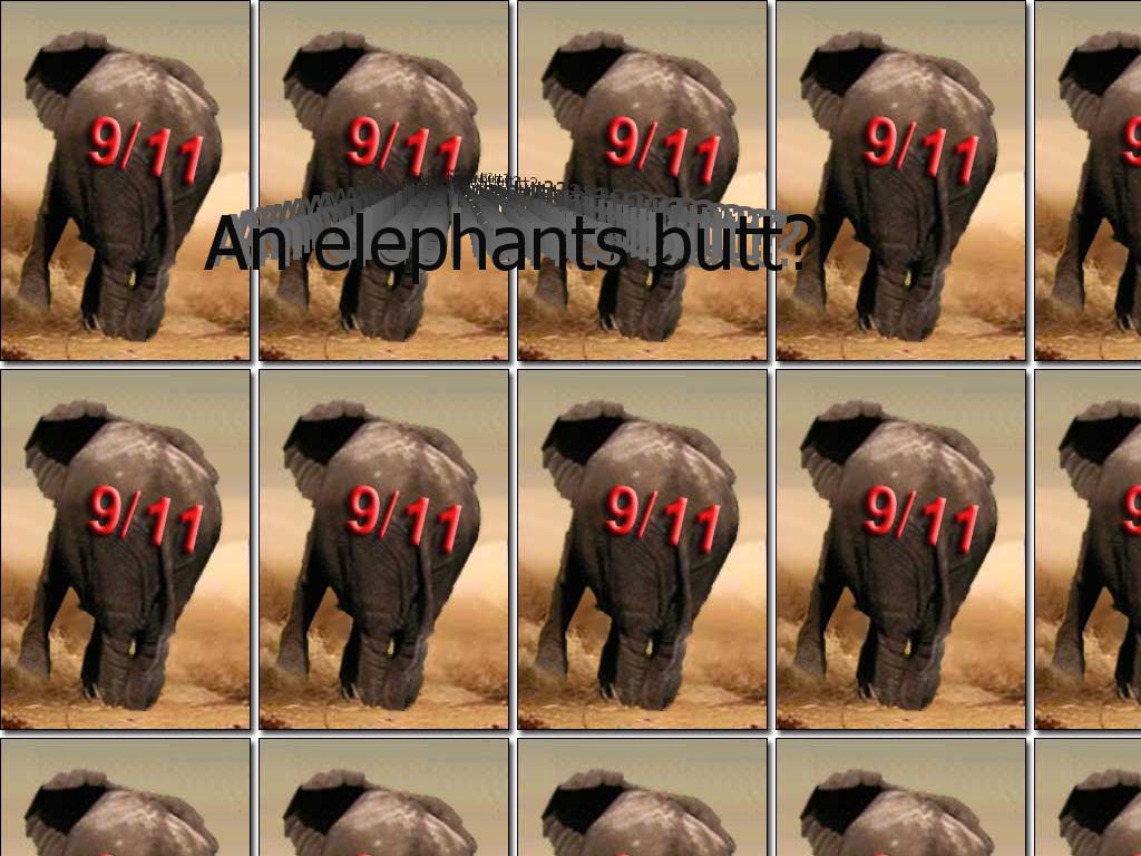 elephantsbutt