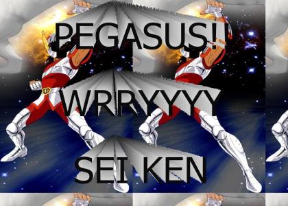 PEGASUS!! WRRYYYY SEI KEN