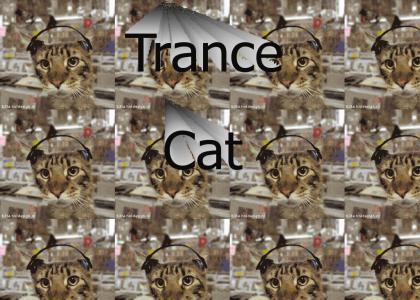 Trance Cat