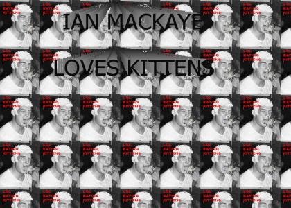 Mackaye kittens
