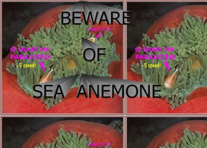 Sea Anemone!!!!