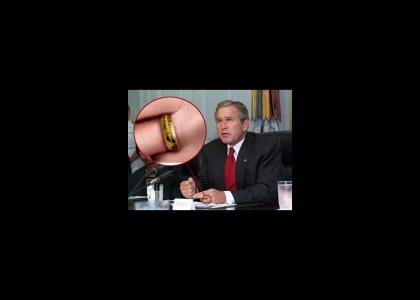 Bush and the one Ring