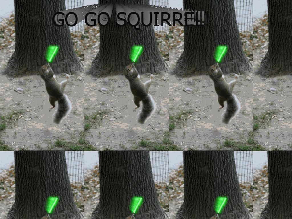 gosquirrel