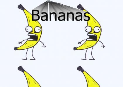 omg bananas
