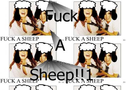 F*** A Sheep
