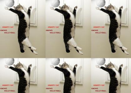 Gravity Cat... Is Pro at Volleyball!