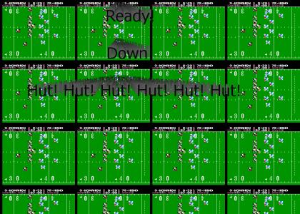 Tecmo Bowl (NES)