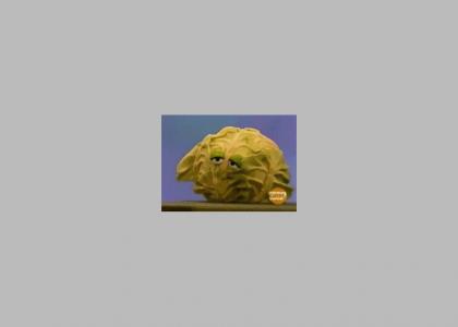 Cabbage DeNiro Cabbage DeNiro
