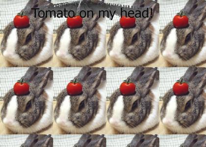 Tomato on my head