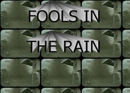 Fools in the Rain