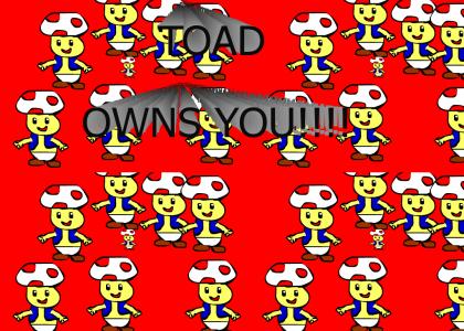 Toad OWNS you!