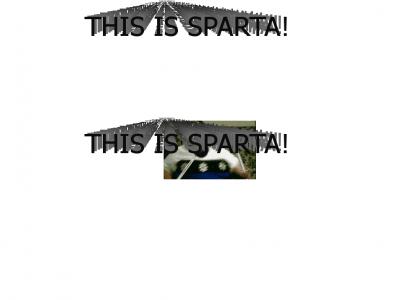 THIS is sparta?