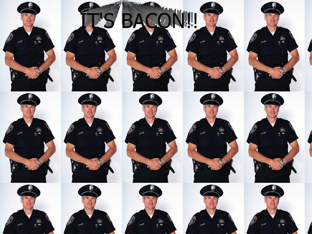 lolbaconpig