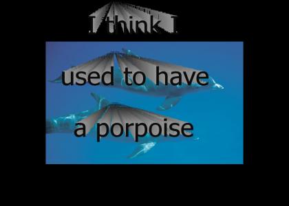 I don't have a Porpoise.