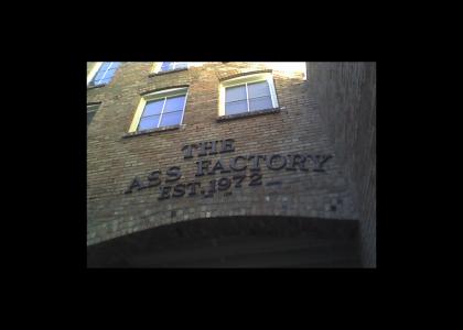 ass factory