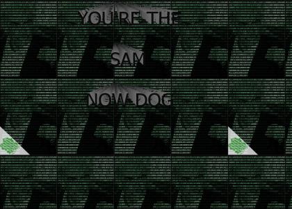 binarYTMND - You're the Sam Now Dog