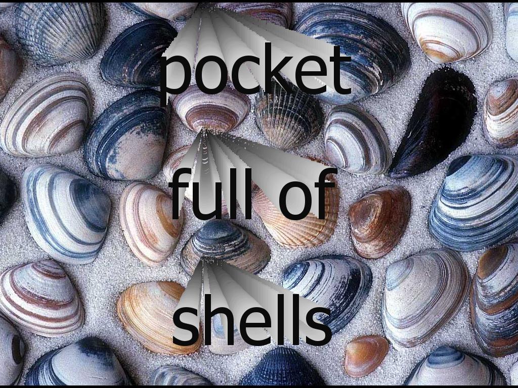 pocketfulofshells