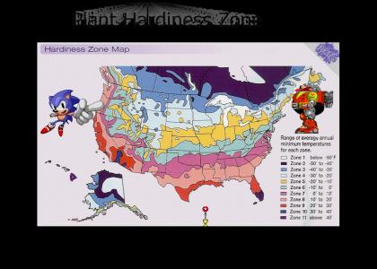 PTKFGS: Rejected Sonic Zone #555