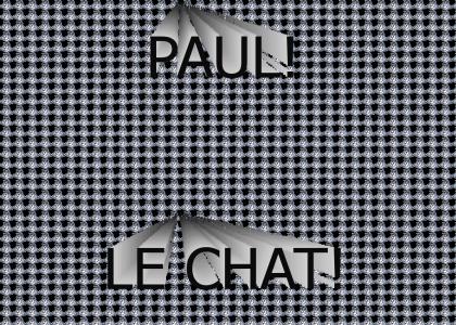 Paul le chat!