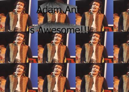 Adam Ant is Awesome
