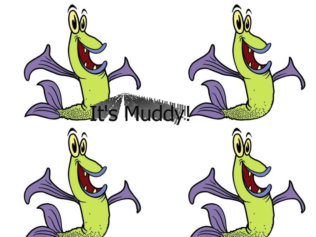 muddymudskipper