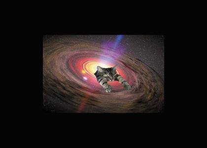Black Hole Cat is not enjoying its Event Horizon
