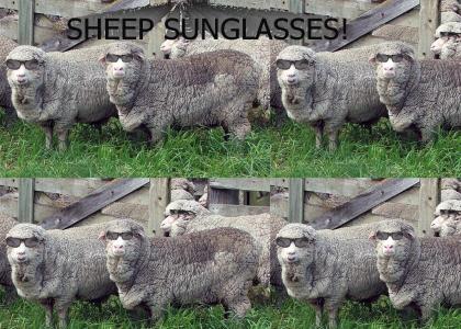 Sheep Sunglasses