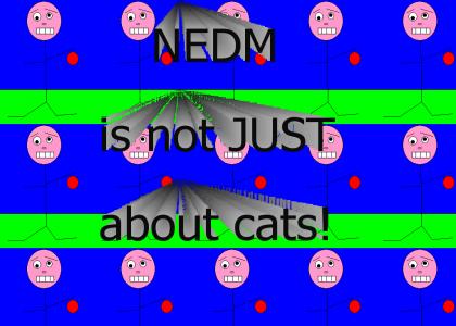 NEDM IS NOT...
