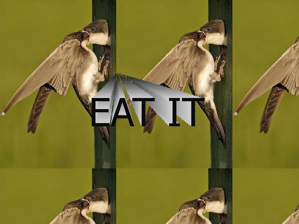 eatitbirds