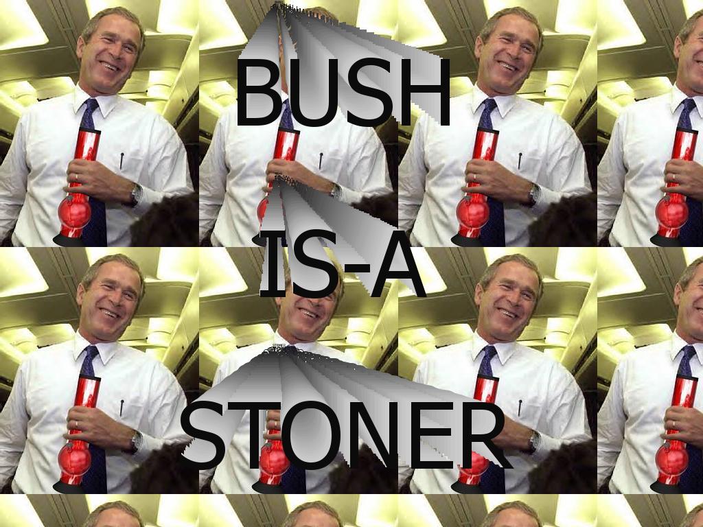Bush-Bong123