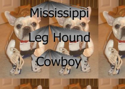 Mississippi Leg Hound
