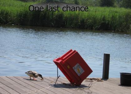 Duck has one last chance to get himself together
