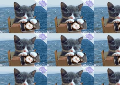 PTKFGS: Box Cat Is Not Lost