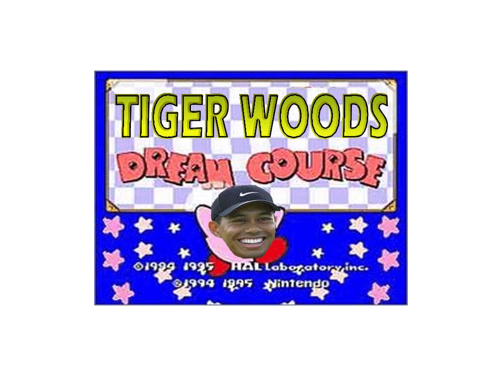 tigerwoodsdreamcourse