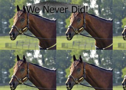 Our Thoughts Go to Barbaro