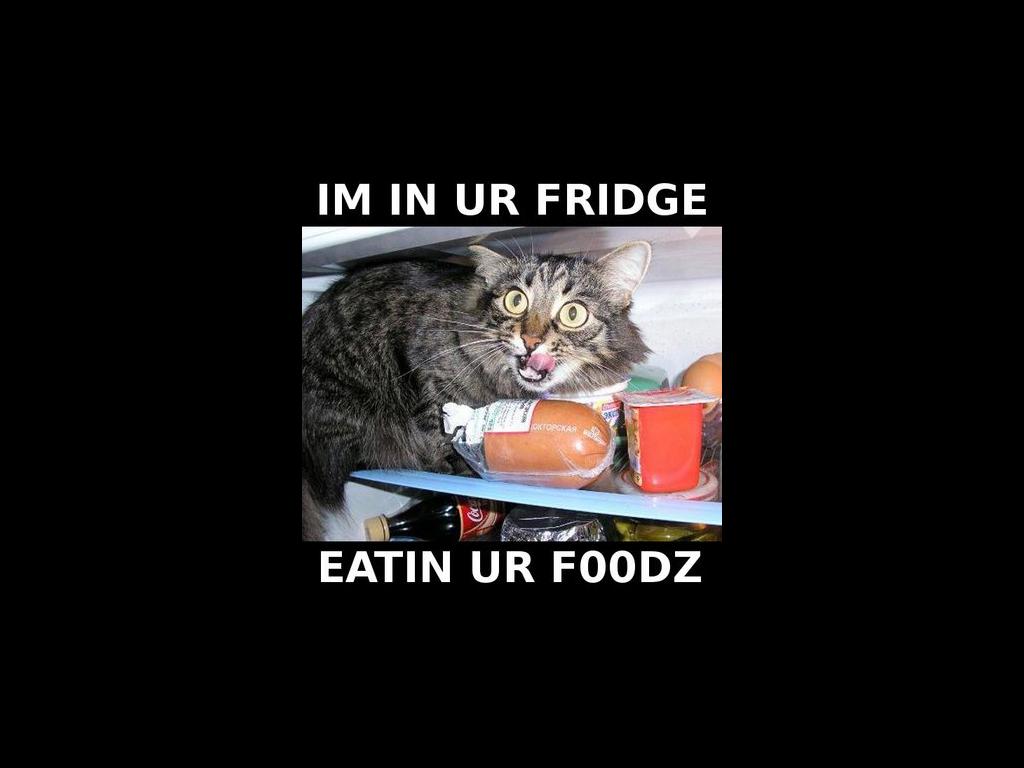 Fridgefoodlez