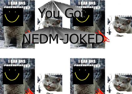 NEDM cat with neked ladies