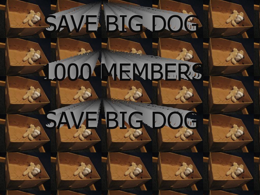 savebigdog