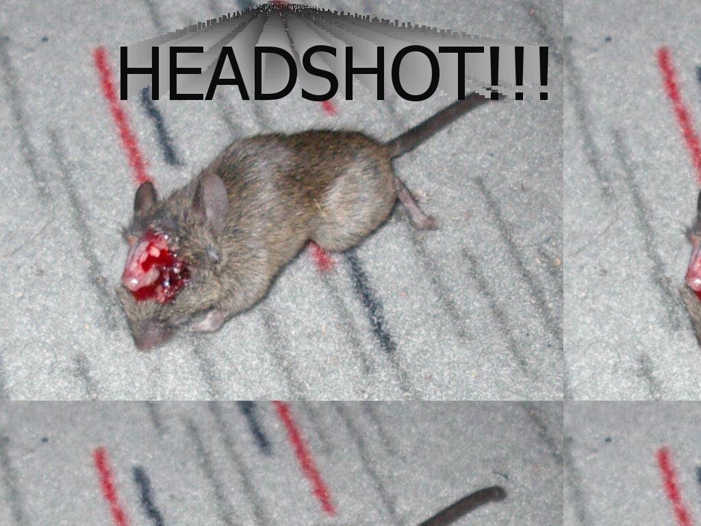 headshott