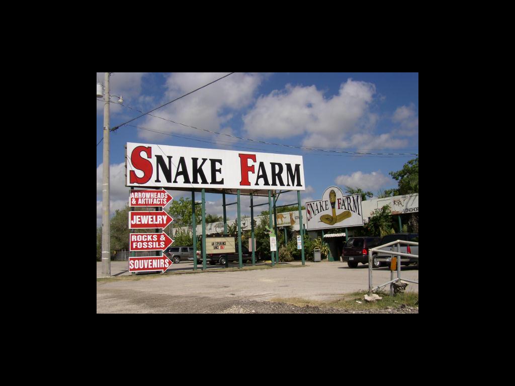 snakesupplier